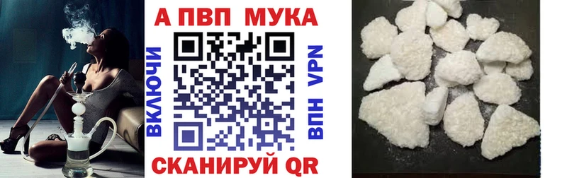 A PVP СК  Галич 