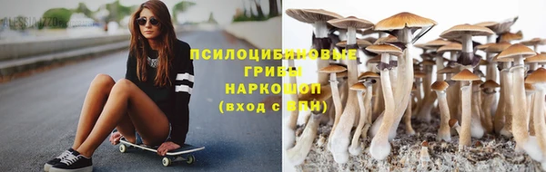 гидра Саяногорск