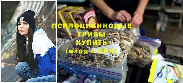 гидропоника Сатка