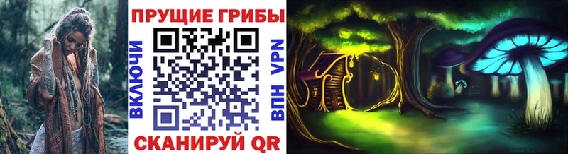 Псилоцибиновые грибы GOLDEN TEACHER  продажа наркотиков  blacksprut ТОР  Галич 