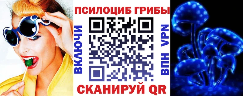 Галлюциногенные грибы Psilocybe Галич